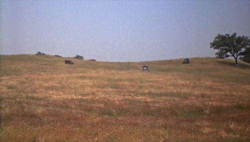 Bonnie Clyde Chase 2