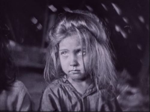 Sparrows Little Girl